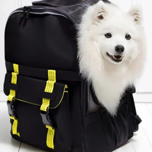 Ready-For-Adventure Pet Backpack in Black (Airline Compliant)