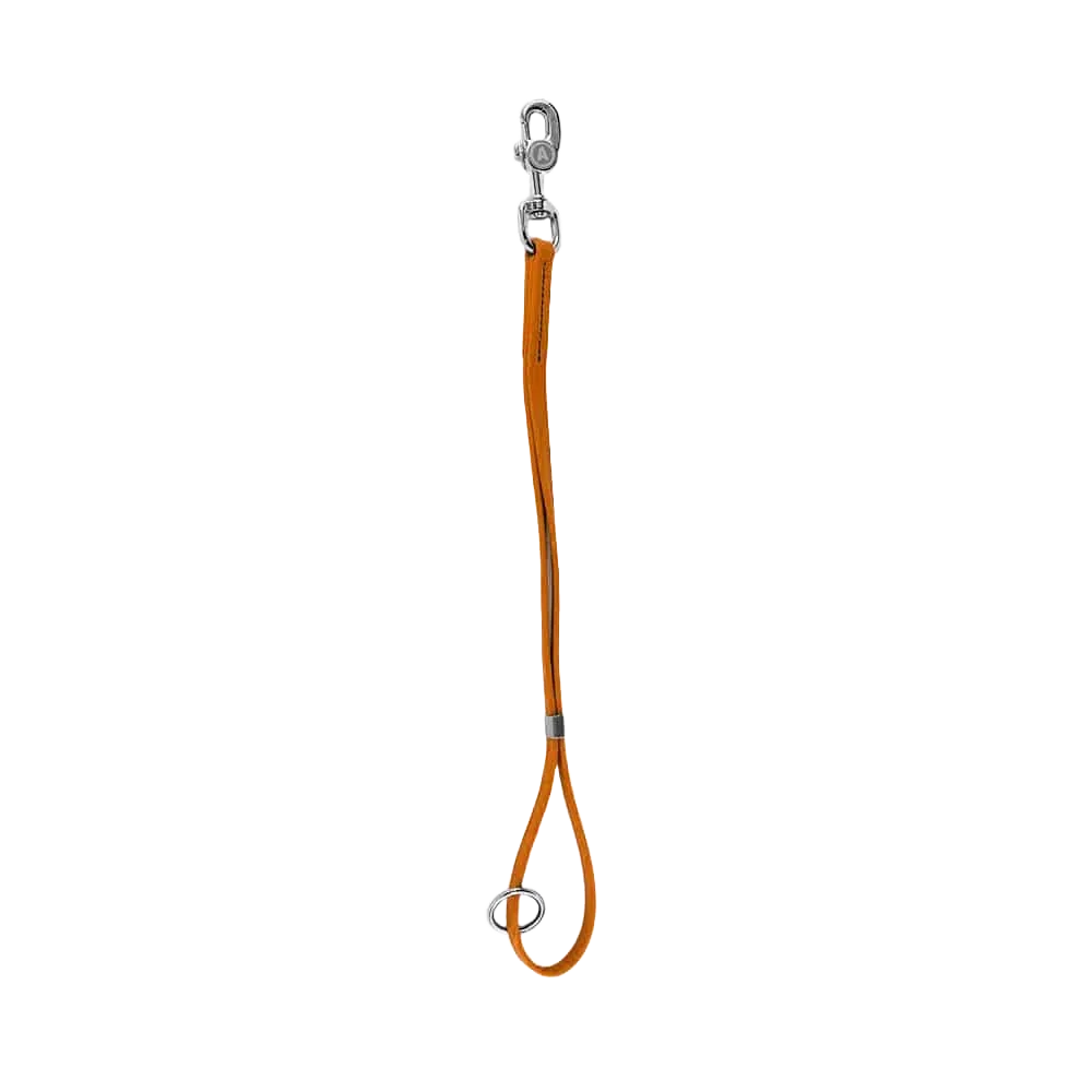20 Inch Loop 2.0 - Orange by Alpha Grooming