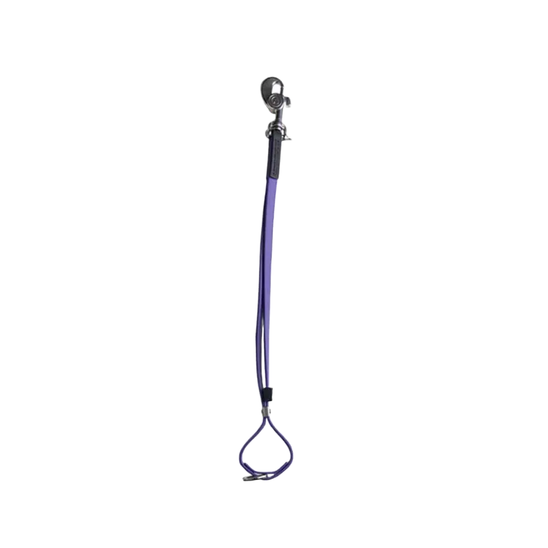 AXL Loop in Purple by Alpha Grooming