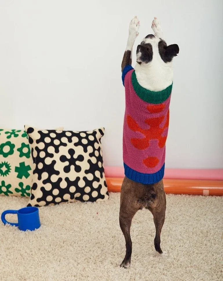 Flower Dog Sweater (FINAL SALE) - Image 2