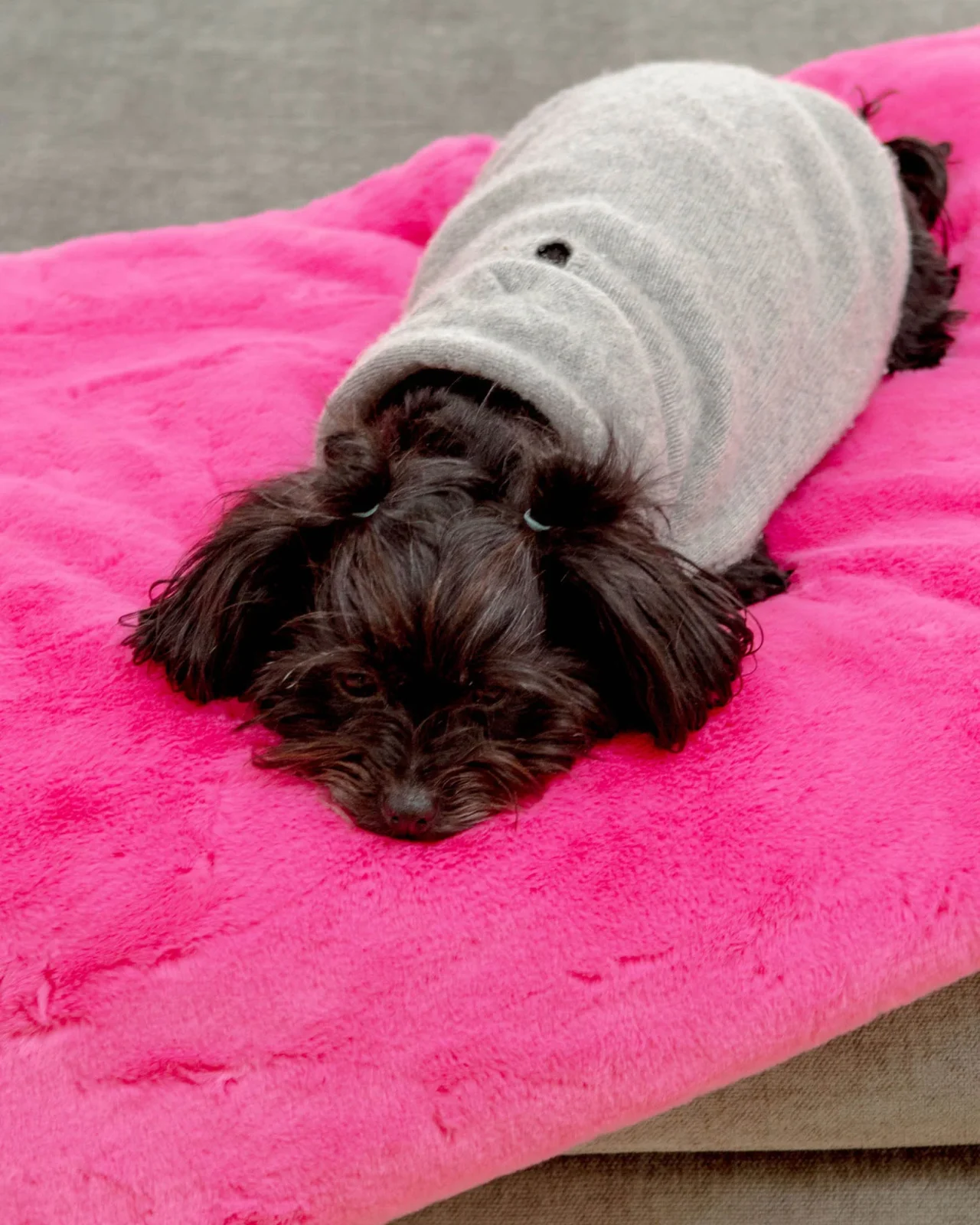 Mini Faux Fur Brady Dog Blanket in Bubble Pink
