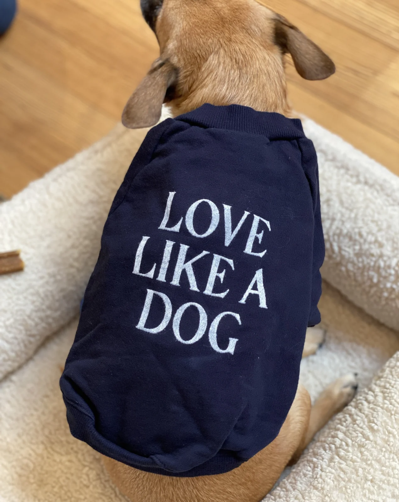 Cut-Sleeve “Love Like a Dog” T-Shirt (Made in the USA) (FINAL SALE)