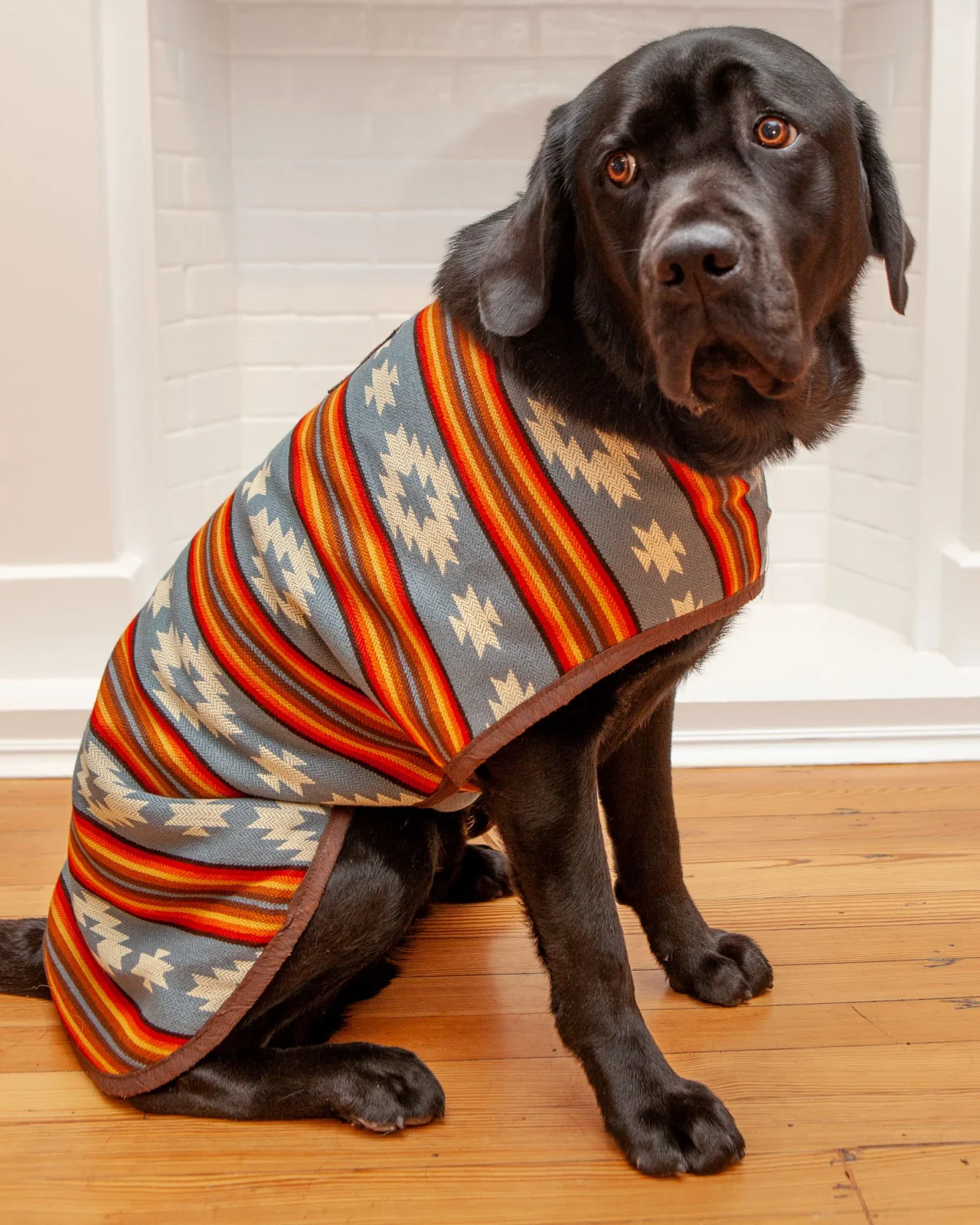 Denim Sunset Blanket Dog Coat <>