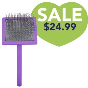 Large Curved Purple Dematting Brush by PetStore.Direct