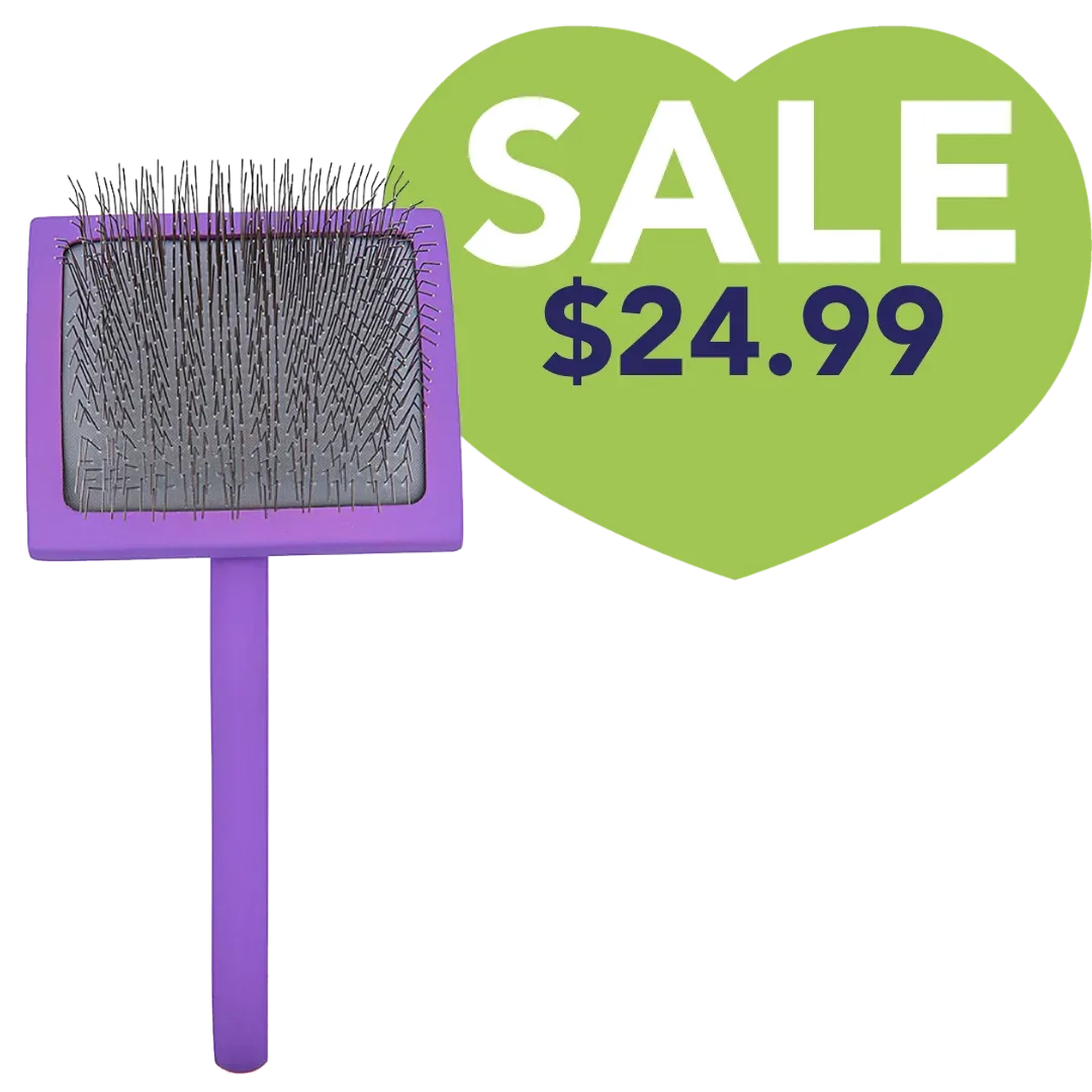 Large Curved Purple Dematting Brush by PetStore.Direct