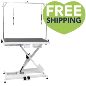X-Style Electric Lifting Table - 49" Top by PetStore.Direct