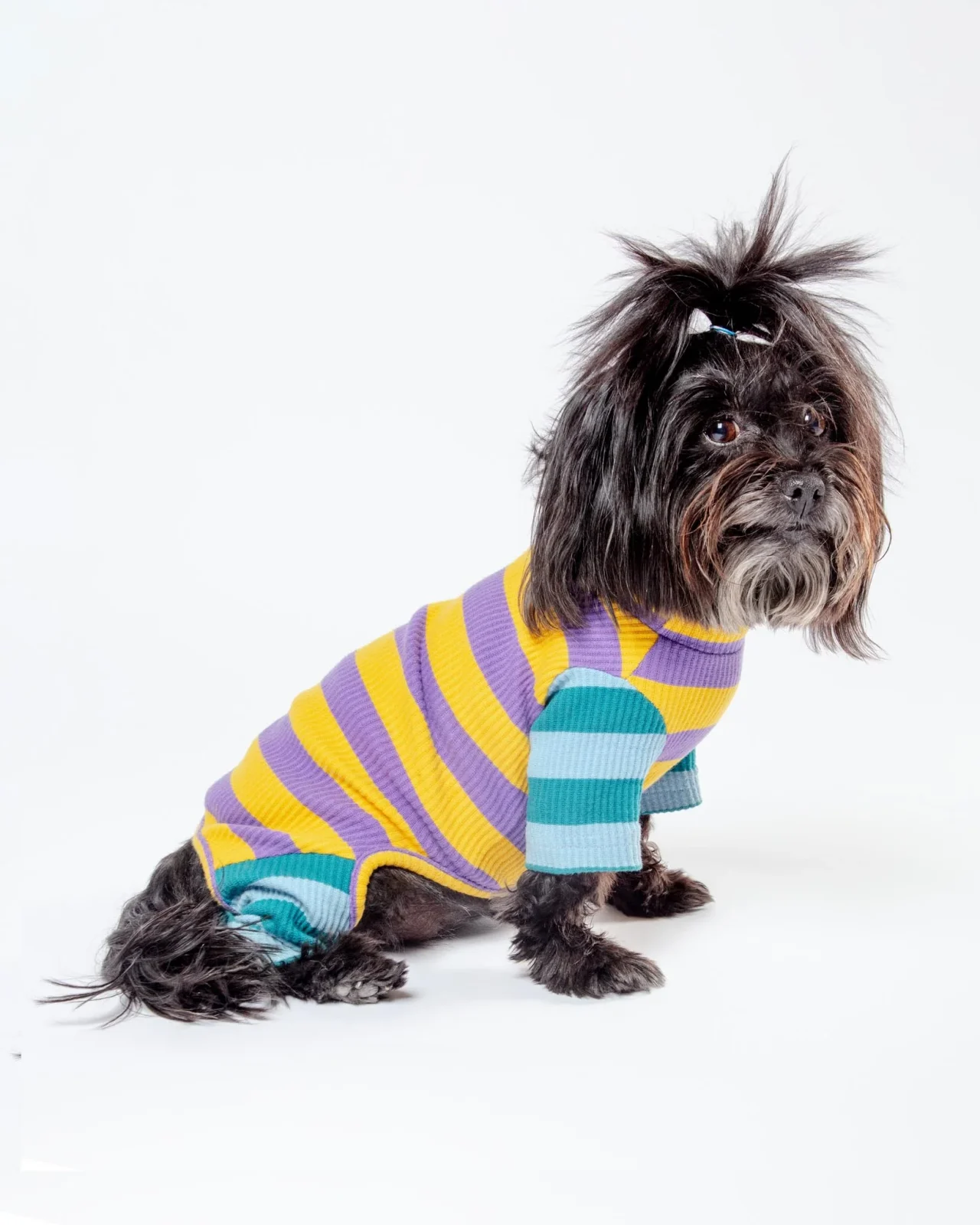 Little Beast X Dusen Dusen | Macaroni Dog Onesie (FINAL SALE)