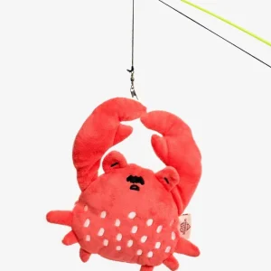Crab Nosework Toy for Dogs