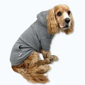 Pullover Dog Hoodie in Grey (FINAL SALE)