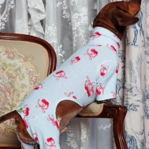 Rest Assured Dog Onesie (FINAL SALE)