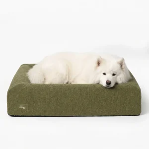 Premium Orthopedic Memory Foam Dog Bed - Green Bouclé