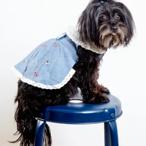 The Bugs + The Bees Chambray Dog Dress (FINAL SALE)
