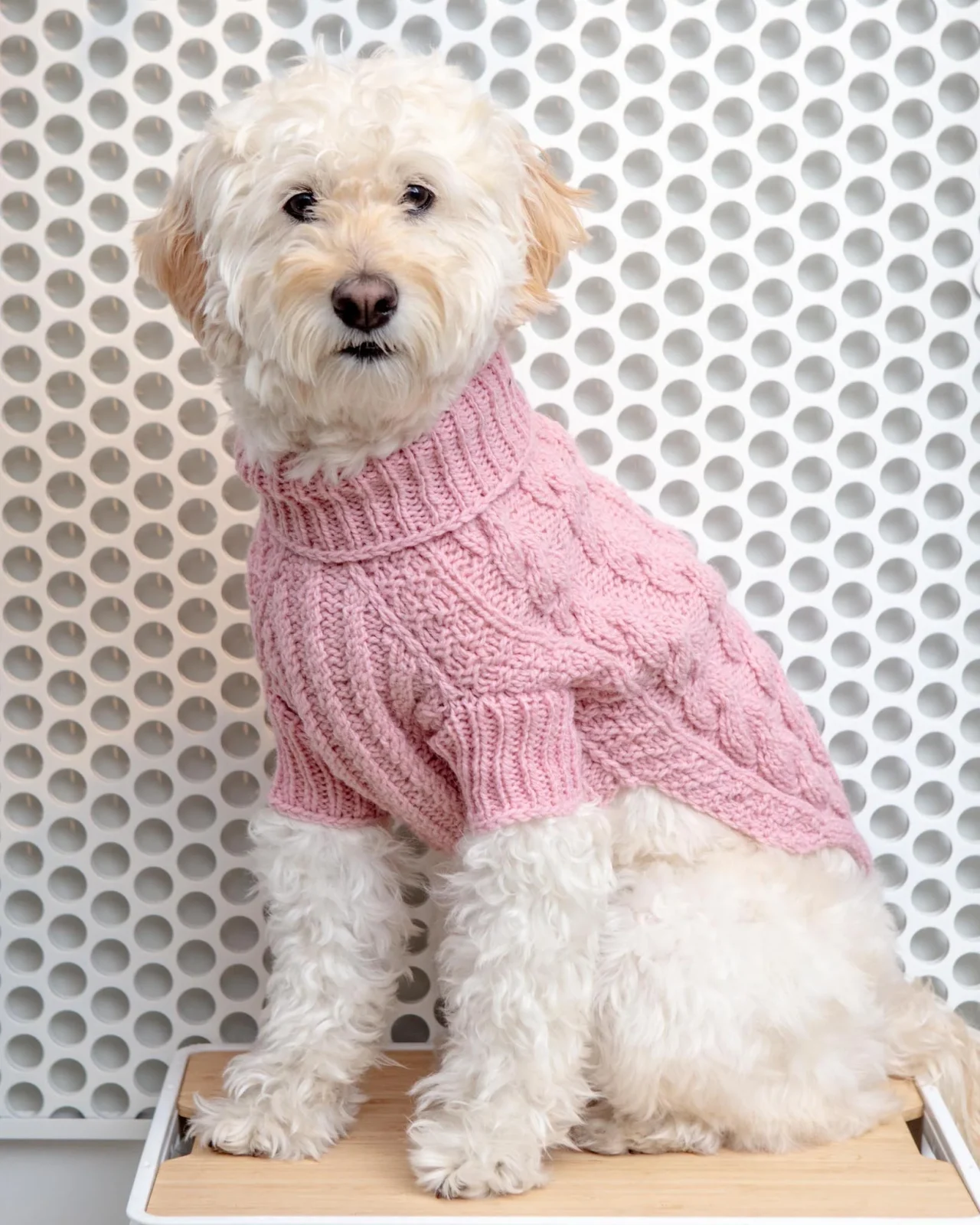Downtown Roll Neck Dog Sweater in Rose (FINAL SALE)