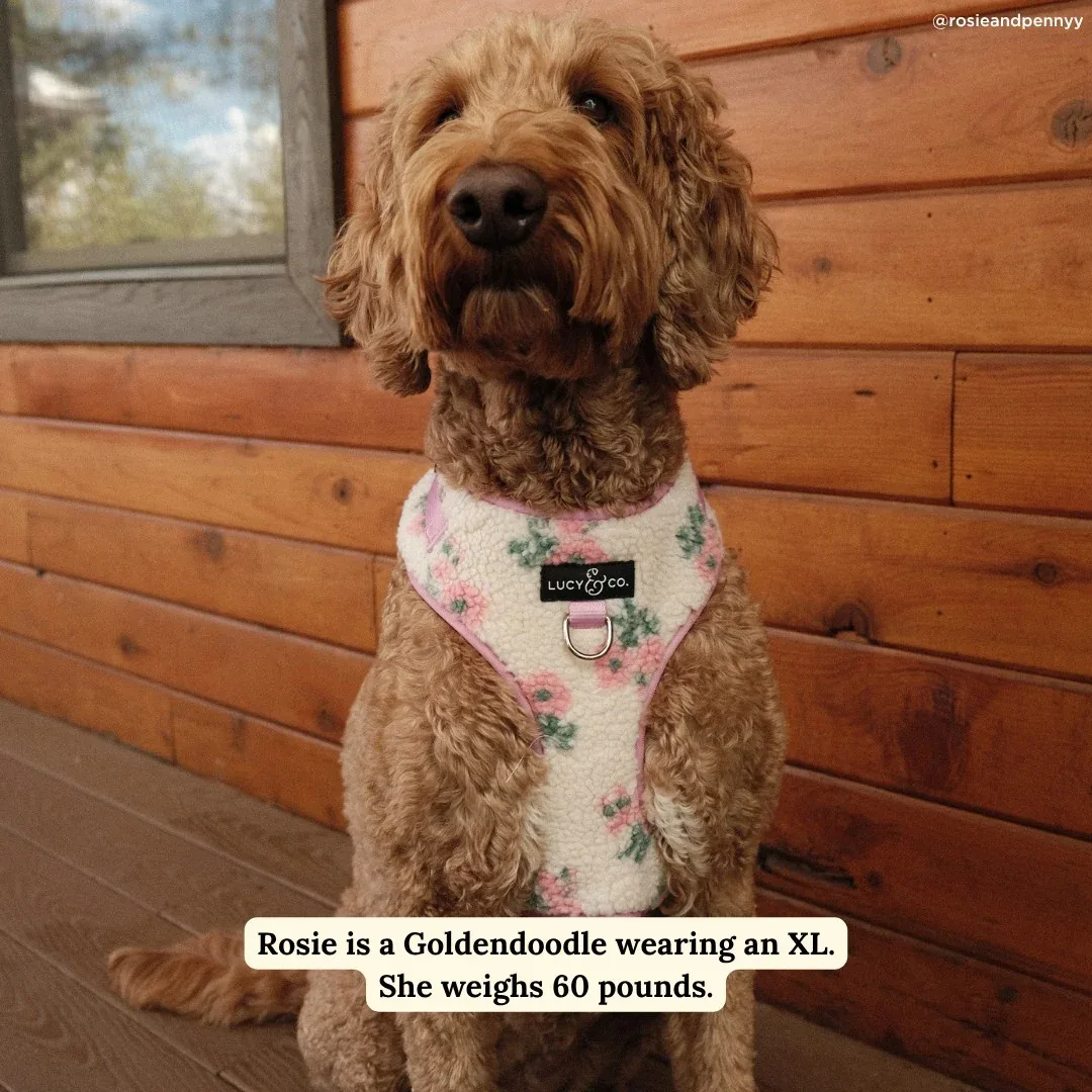 In Full Bloom Fleece No-Pull Harness - Image 2