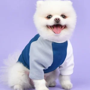 Color Block Dog T-Shirt in Navy (FINAL SALE)