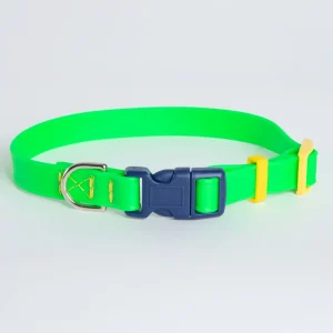 A Walk in the Park Dog Collar in Neon Green (Made in the USA)