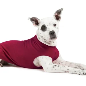 Stretch Fleece in Garnet <>