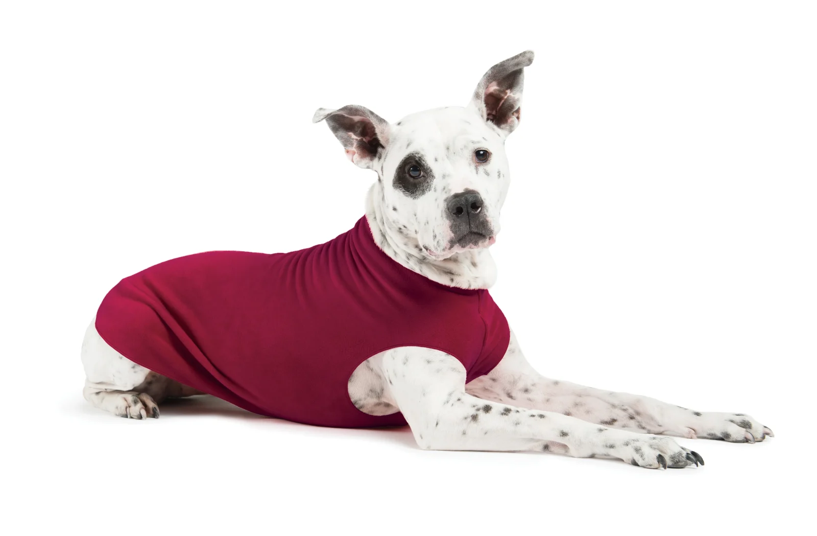 Stretch Fleece in Garnet <>