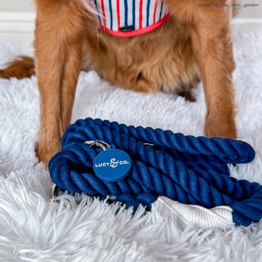 Navy Hands-Free Rope Leash - Image 2