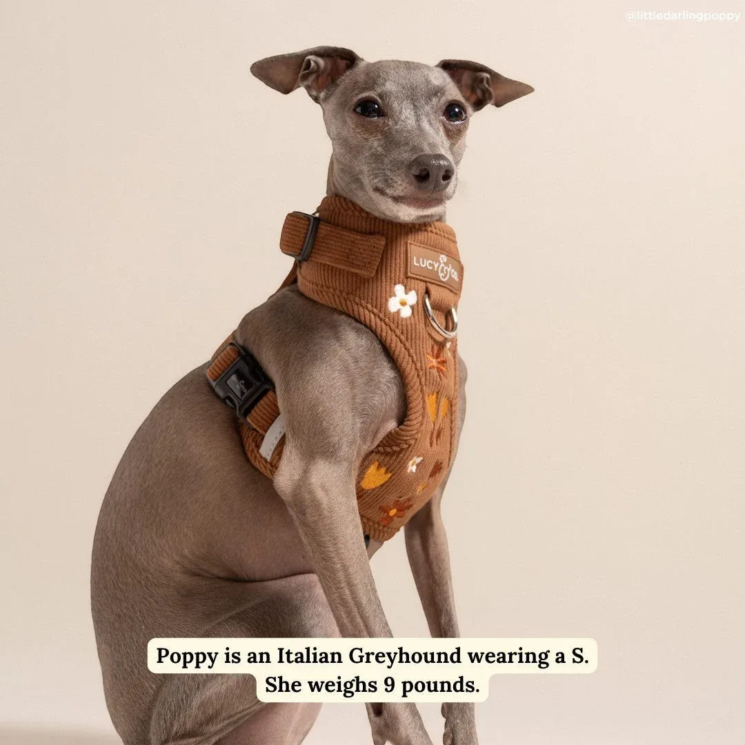 Chocolate Meadows Corduroy No-Pull Harness - Image 2