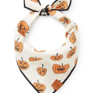 Pumpkin Patch Reversible Dog Bandana (Made in the USA)
