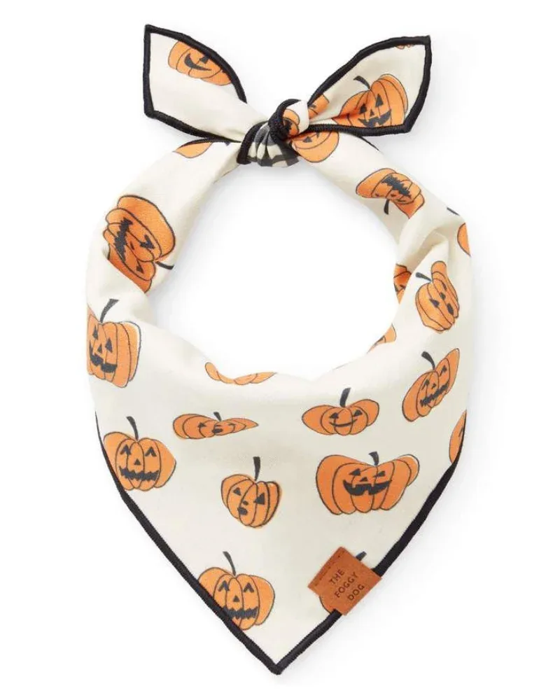 Pumpkin Patch Reversible Dog Bandana (Made in the USA)