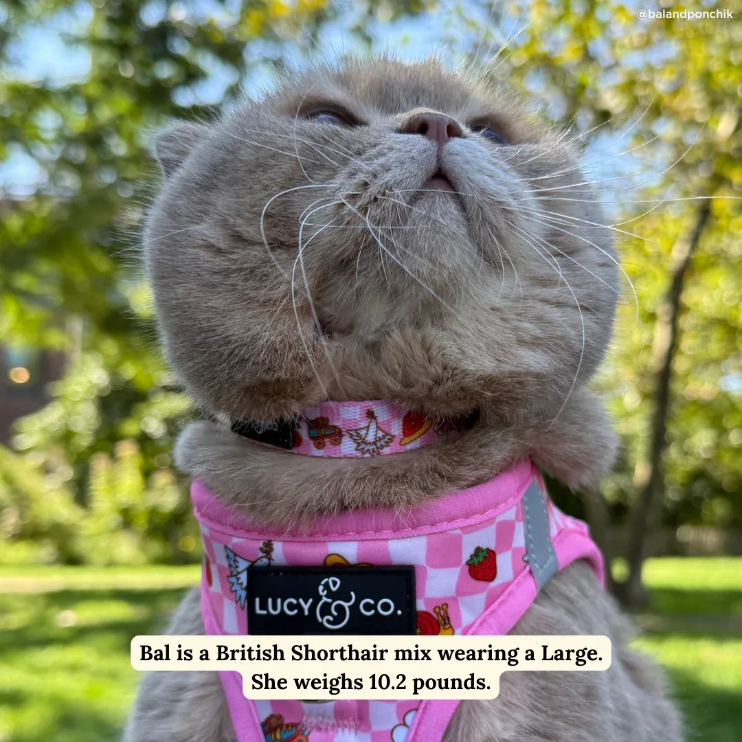 Cutie Patootie Breakaway Cat Collar - Image 2
