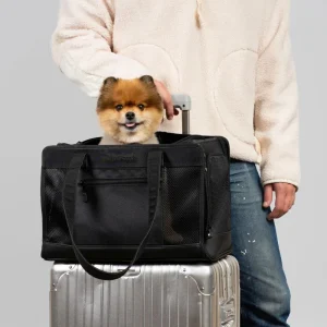City to Sky Pet Travel Carrier