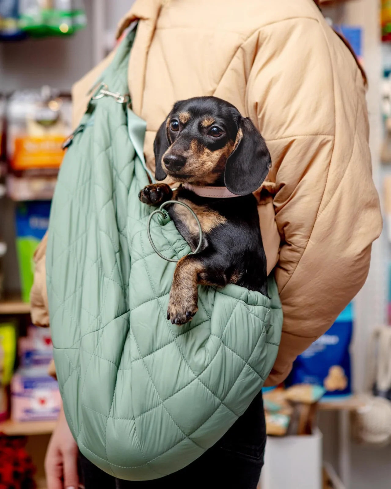 Eco Packable Dog Sling Carrier (FINAL SALE) - Image 2