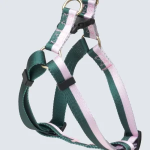 Stripe Adjustable Dog Harness (FINAL SALE)