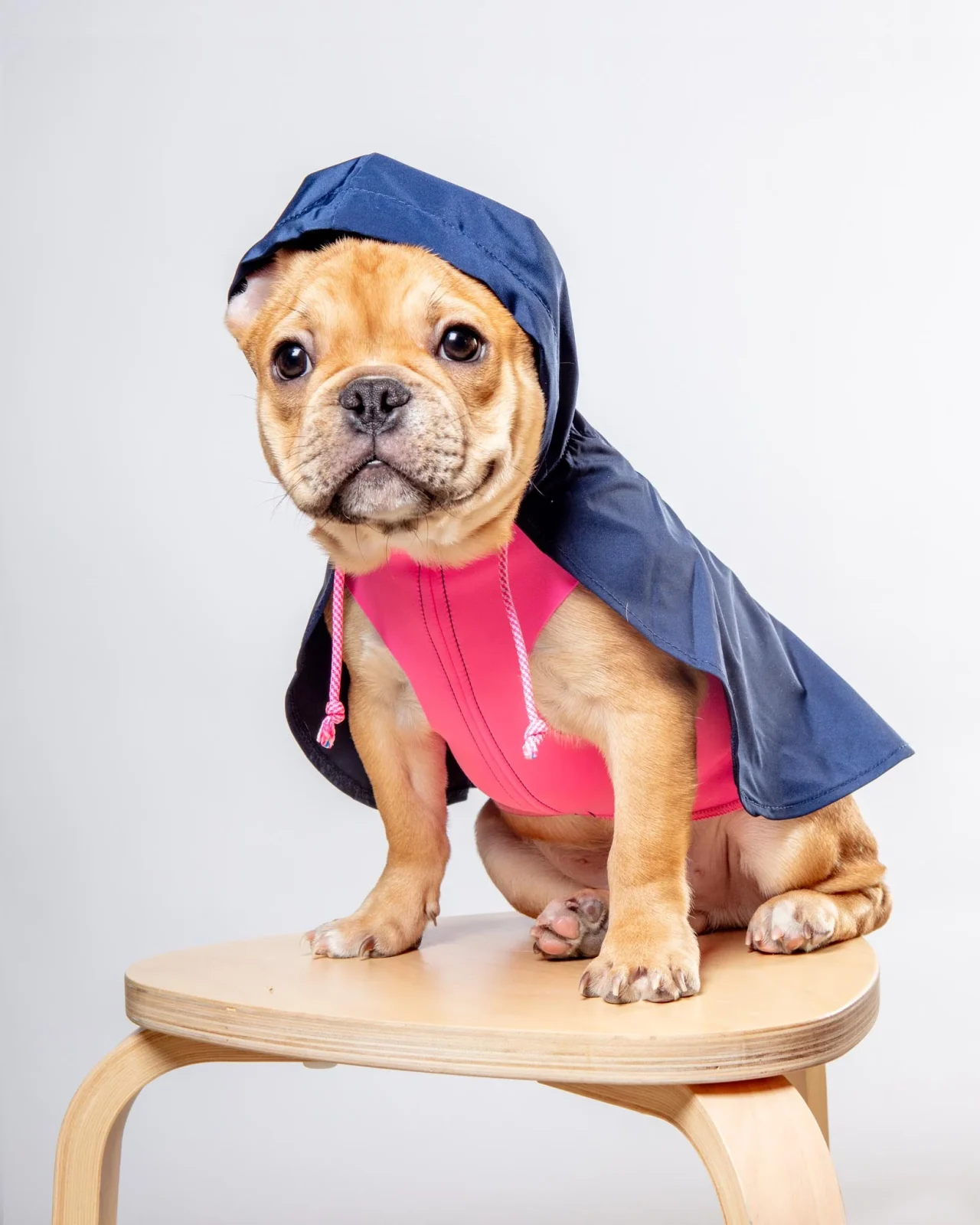 Action Jacket Pull-On Raincoat in Navy + Neon Pink (Made in NYC) - Image 2