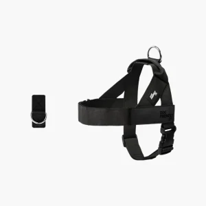 Dog Harness + FREE D-ring