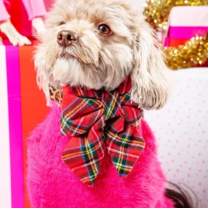 Tartan Plaid Flannel Holiday Dog Lady Bow
