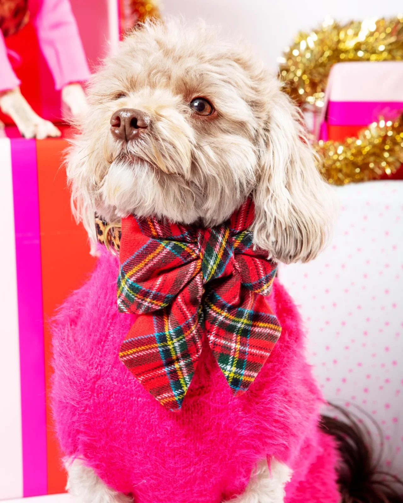 Tartan Plaid Flannel Holiday Dog Lady Bow