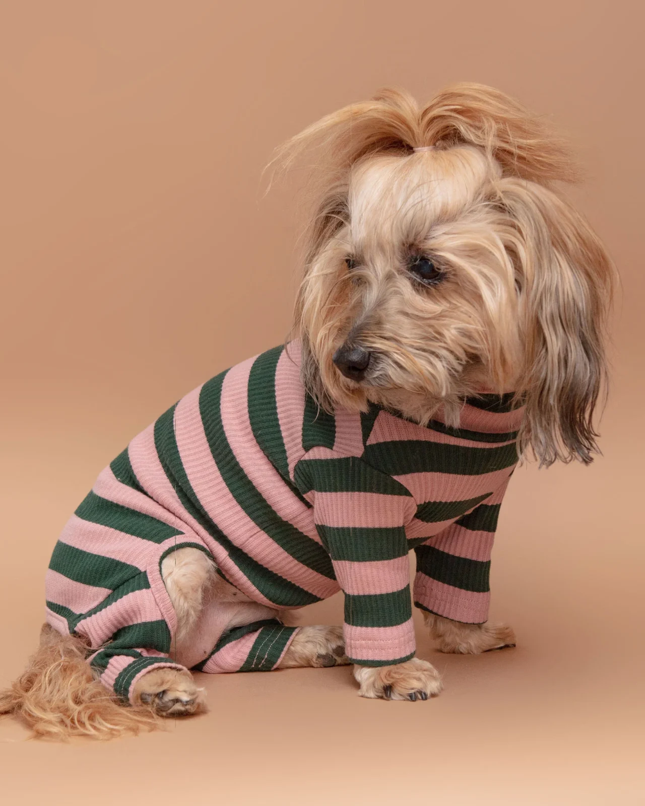Pink Elephant Stripe Ribbed Onesie (FINAL SALE)