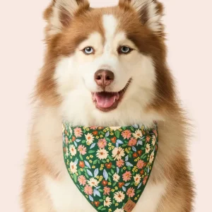 Secret Garden Dog Bandana (Made in the USA)