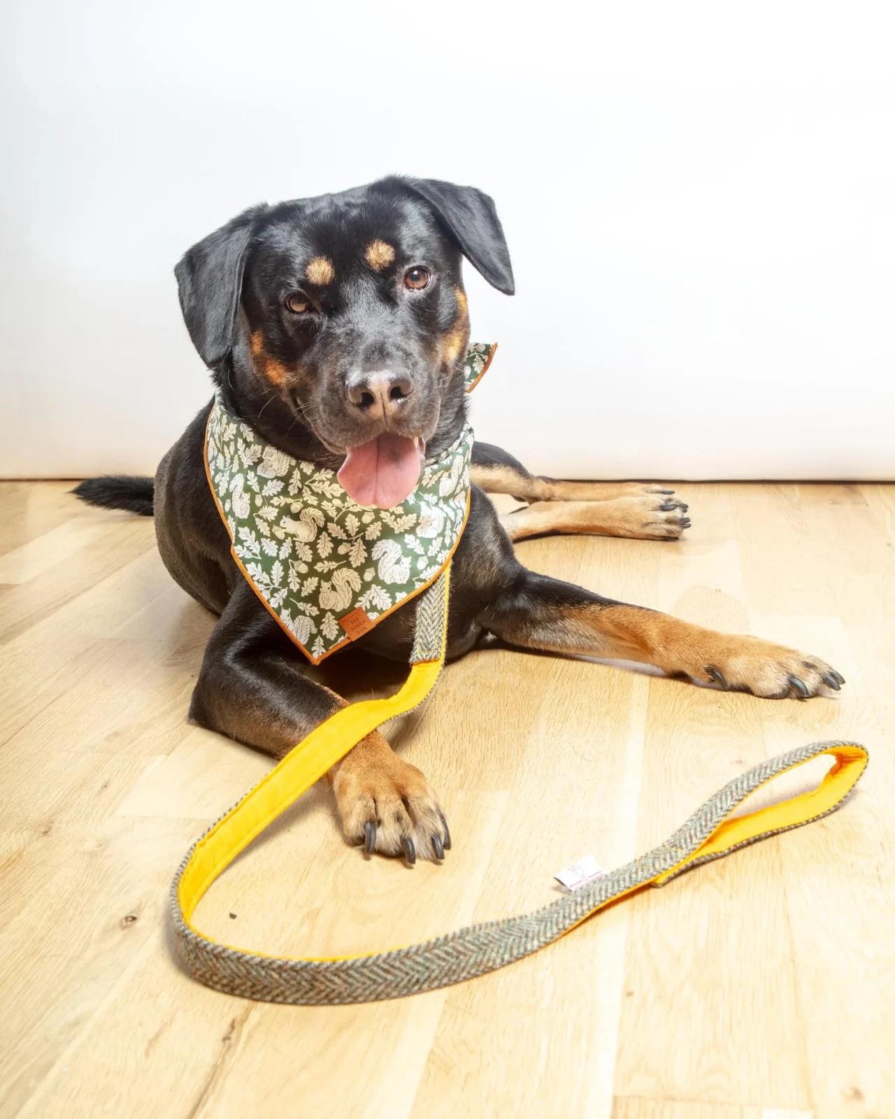 Eriskay Tweed Collar + Leash Set (Made in the UK) - Image 2