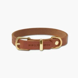 Butter Leather Dog Collar in Sahara Cognac (Made in Austria)