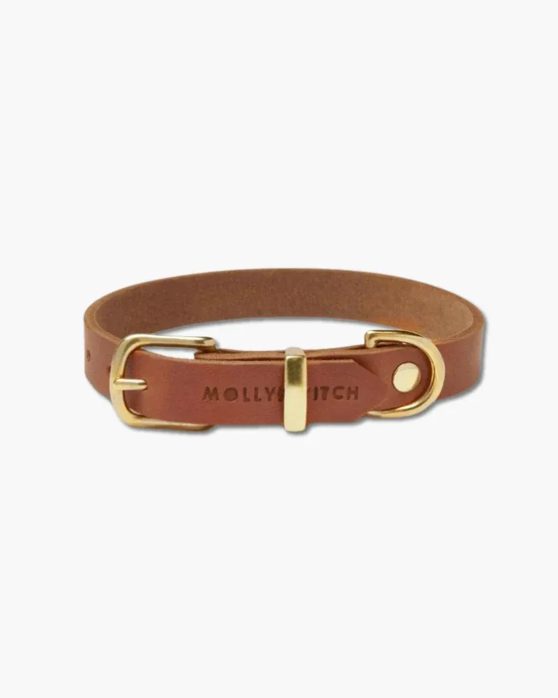 Butter Leather Dog Collar in Sahara Cognac (Made in Austria)