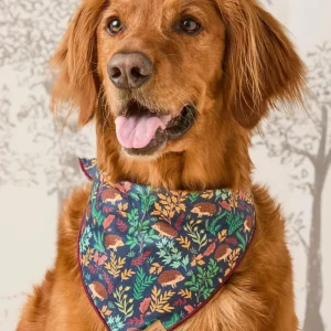 Hedgehog Hollow Cotton Dog Bandana (Made in the USA) (FINAL SALE)