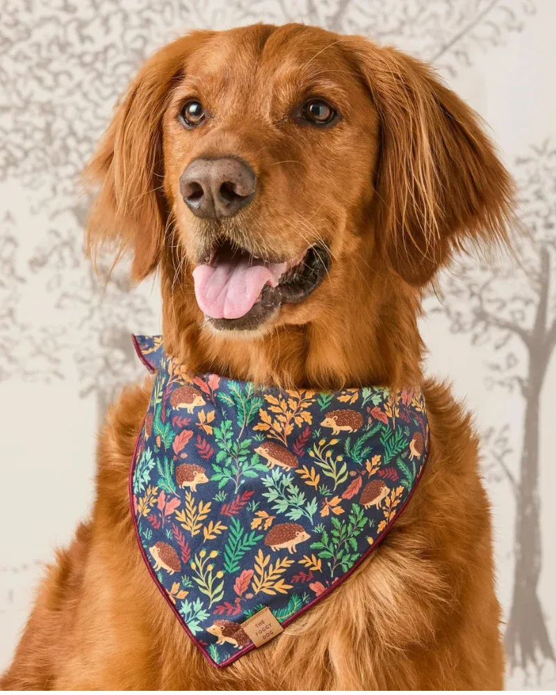 Hedgehog Hollow Cotton Dog Bandana (Made in the USA) (FINAL SALE)