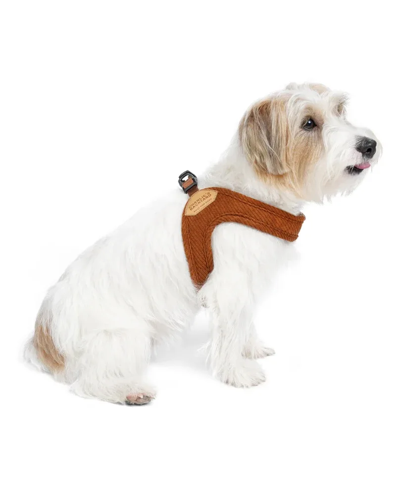 "Roy" Corduroy Buckle Up Easy Dog Harness in Caramel - Image 2
