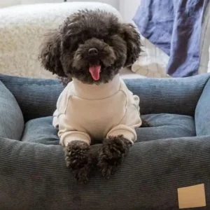 Soft Touch Dog Onesie in Sandstone or Myrtle Green (FINAL SALE)