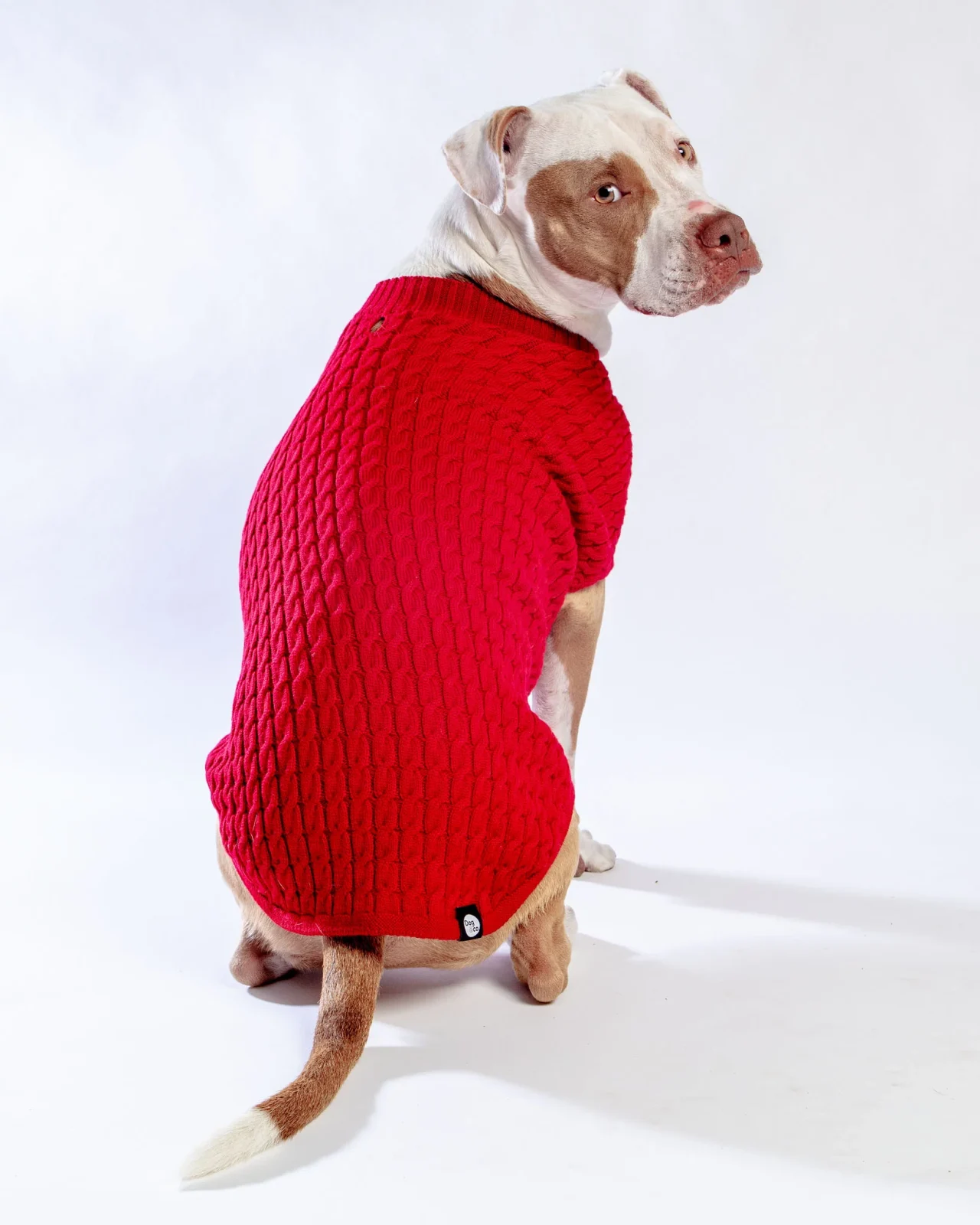 The Uptown Cable Knit Sweater in Big Apple Red Merino Wool (Made in NYC) (FINAL SALE) - Image 2