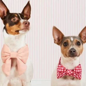 Raspberry Gingham Dog Bow Tie (Made in the USA) (FINAL SALE)