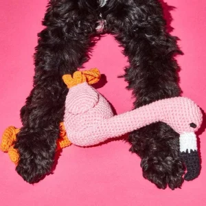 Hand Crochet Flamingo Dog Toy