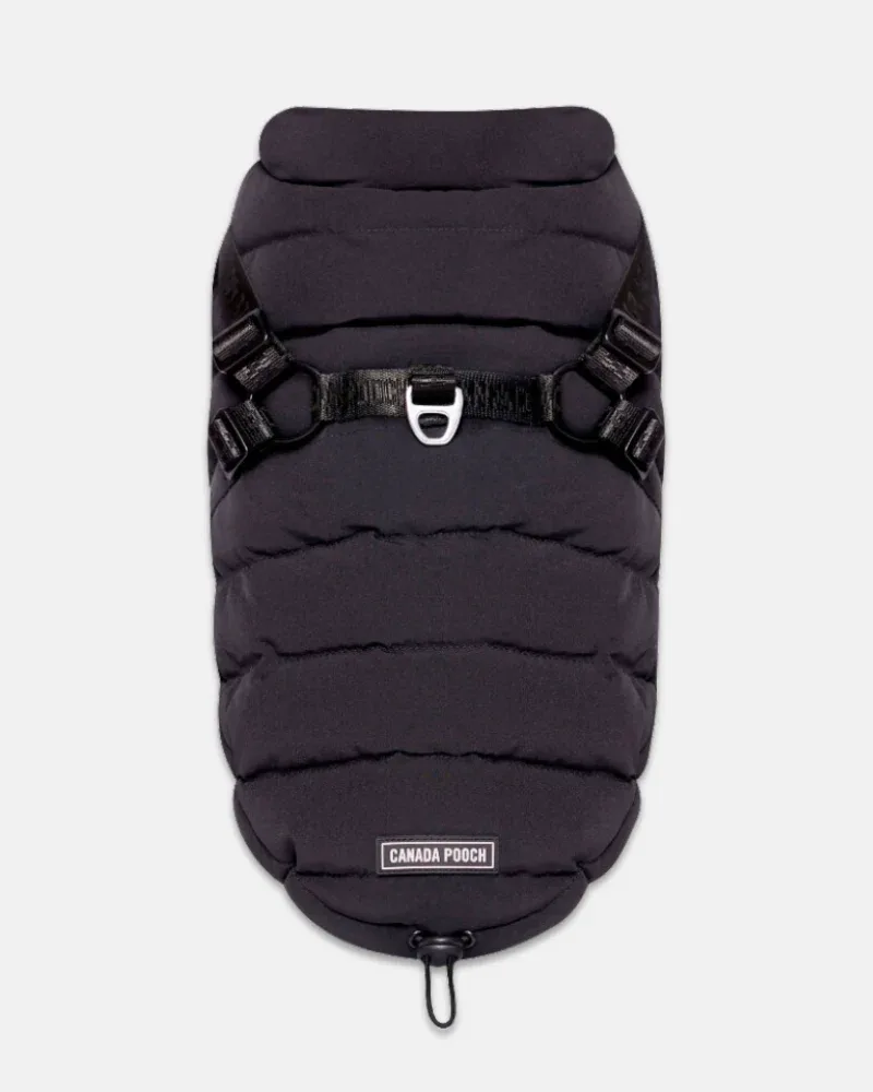 Harness Puffer Dog Jacket in Black (FINAL SALE)