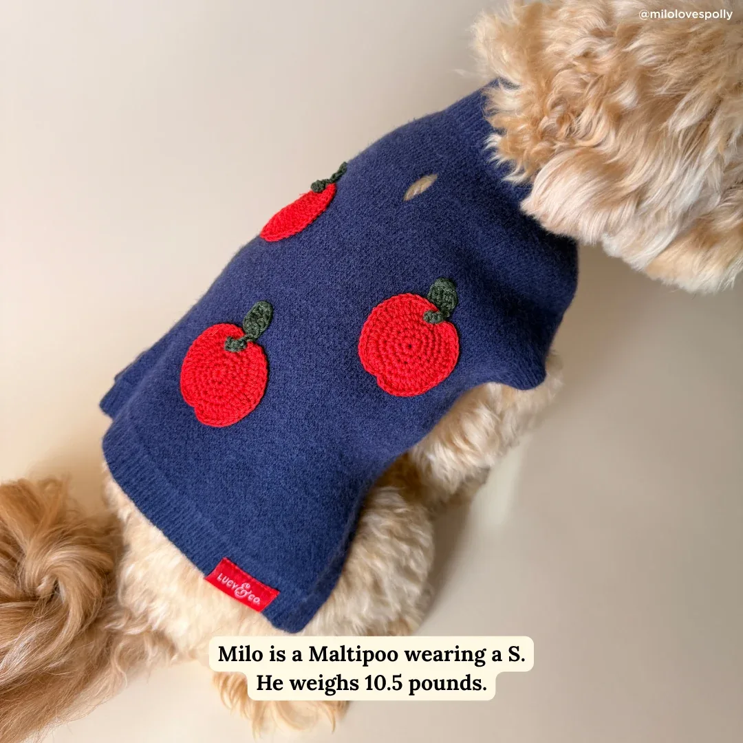 Appley Ever After Heritage Sweater - Image 2