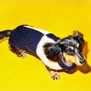 Hand Knit Checkered Wool Dog Sweater (Navy & White) (FINAL SALE)