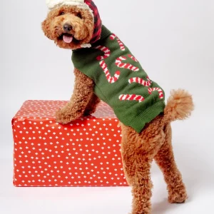 Vintage Candy Cane Holiday Dog Sweater